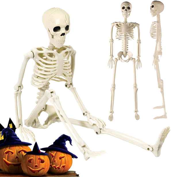 Lidská kostra Pohyblivá dekorace na Halloween 90 cm do zahrady a domu Bedee