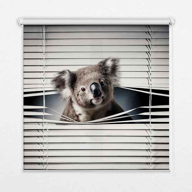TULUP VNITŘNÍ roleta - okenní roleta - roleta - 70x140 cm - Koala