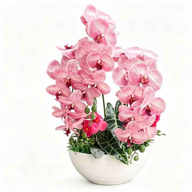 Umělý Orchidej Dekorativní Kompozice Kvalita 50CM-60cm