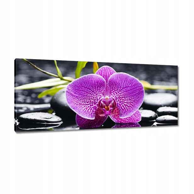 Obrazy 100x40 Fialová orchidej