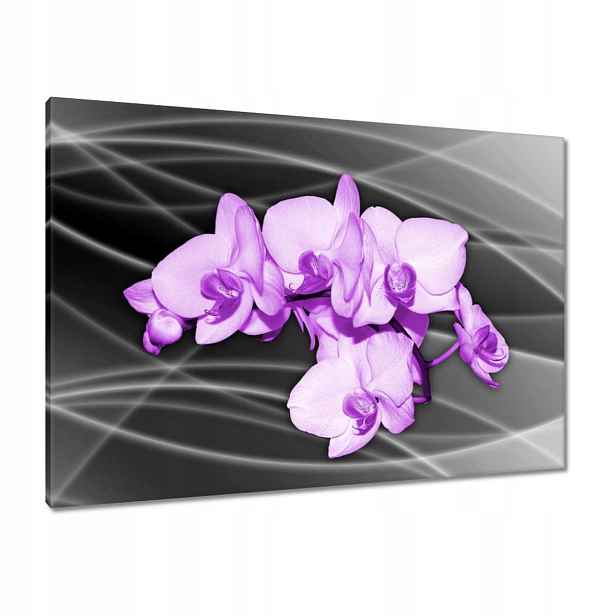 Obrazy 100x70 Pěkný květ orchidej fialový