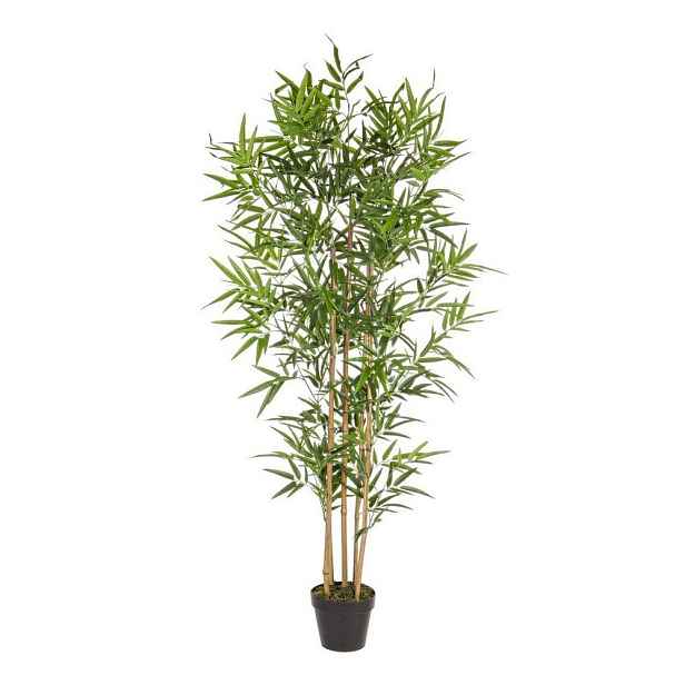 Umělý bambus (výška 155 cm) Bamboo – Bizzotto