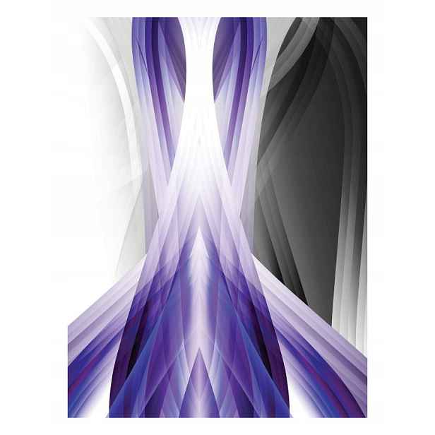 Fototapeta Abstraktní fialové vinylové linie 184x254 lepidlo