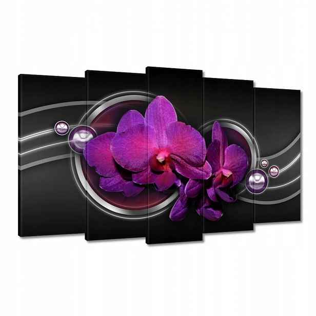Obrazy 100x60 Fialová orchidej