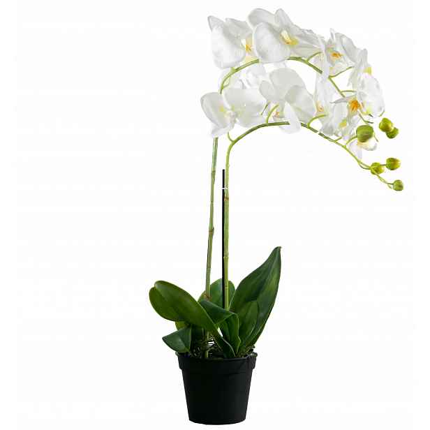 umělý květ rostlina Orchidej XL