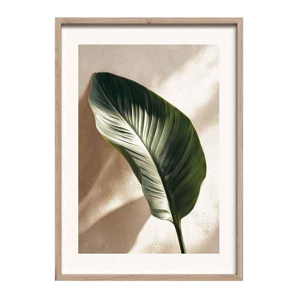 Tištěný obraz s rámem 50x70 cm Strelizia Leaf – Styler