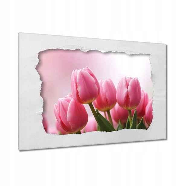 Obrazy 90x60 Růžové tulipány