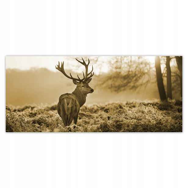 Fototapety flizelina 211x91 Jelen Sepia