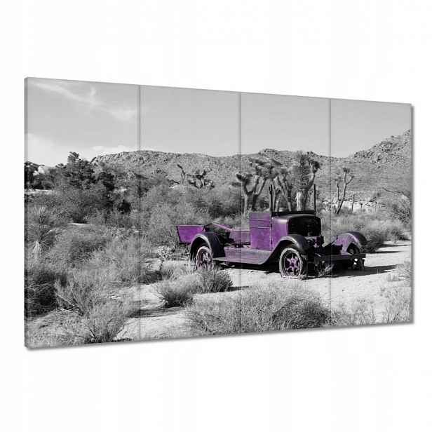 Obrazy 120x80 Fialové ostřelované auto