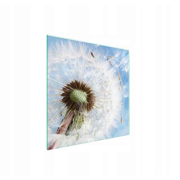 7v1 Skleněná ochranná deska na sporák 50x52 Květ