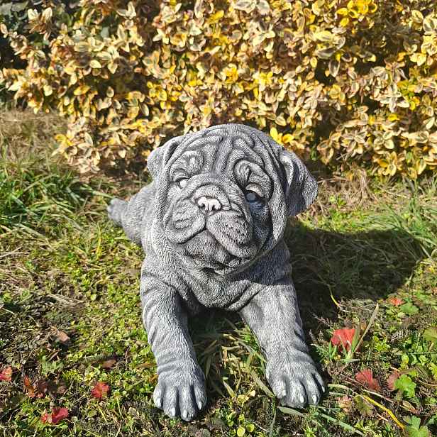 Betonová figurka Pes Mops ležící figurky z betonu pejsek dekorace