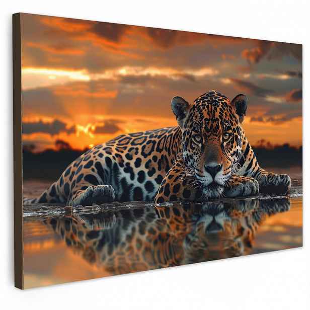 MuchoWow OBRAZ NA PLÁTNĚ Příroda - Leopard - Zvíře - Západ slunce - Moderní 120x80 cm