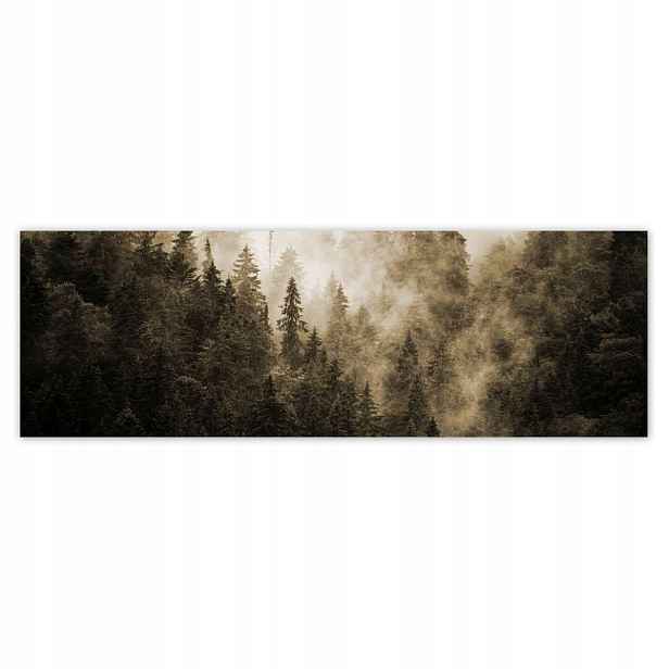 Fototapety 200x66 Krajina Sépie Hory Mlha