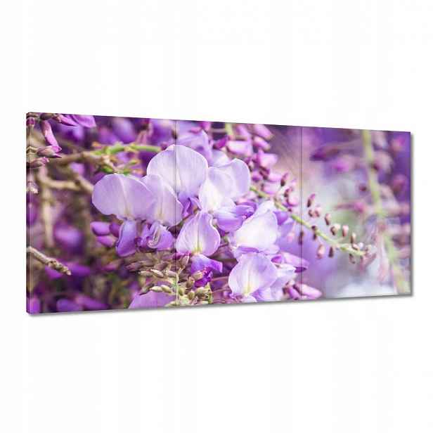 Obrazy 120x60 Fialové květiny