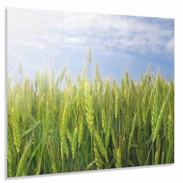 Tvrzený Panel 65x60cm 4mm Dekorativní Lacobel Do Kuchyně Ochranný