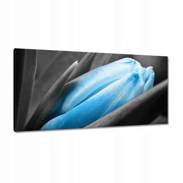 Obrazy 115x55 Modré okvětní lístky Tulipán
