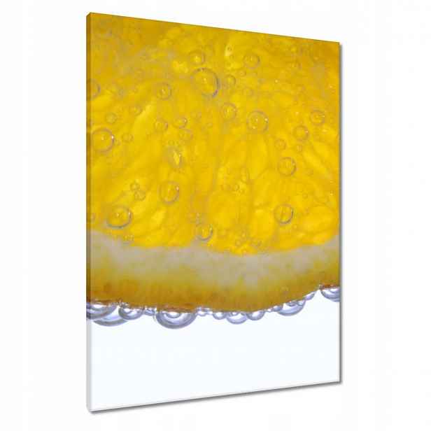 Obrazy 60x80 Citron ve vodě