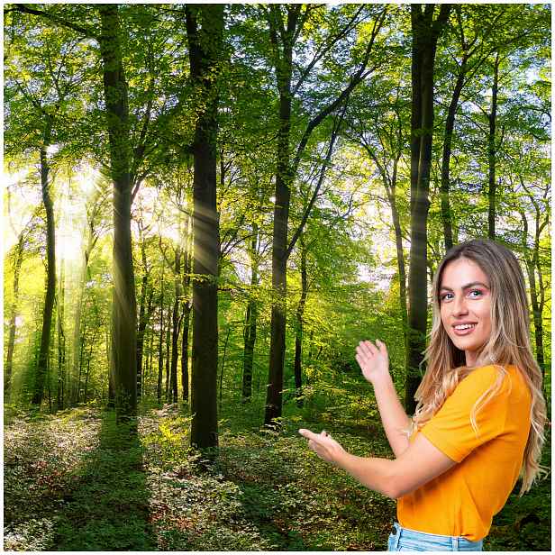 Fototapeta 3D Obývací Pokoj Ložnice Les Stromy Slunce 392x280 P07F