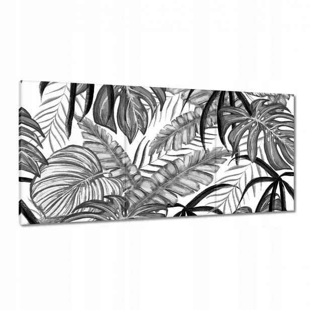 Obrazy 120x60 Monstera Zelený list