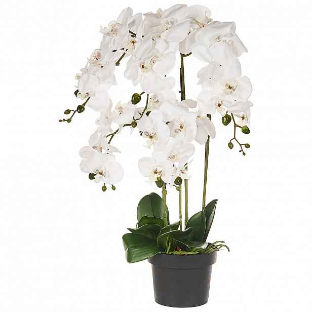 Beliani UMĚLÁ ROSTLINA v květináči 65 cm Bílá Orchid