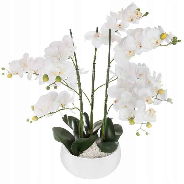 Umělá rostlina, umělá orchidej, bílý květináč, 65 cm