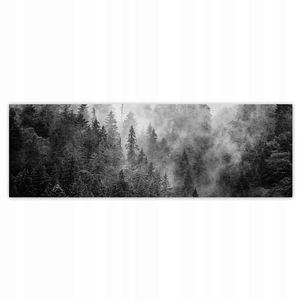 Fototapety 200x66 Krajina Šedá Hory Mlha