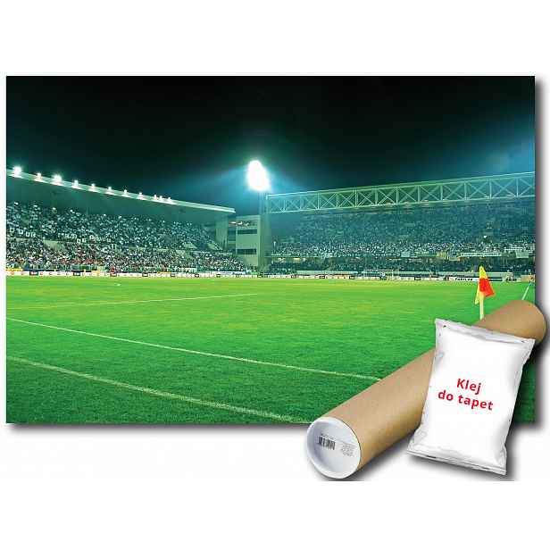 Vinylová Fototapeta Míč Hřiště Stadion 152x104