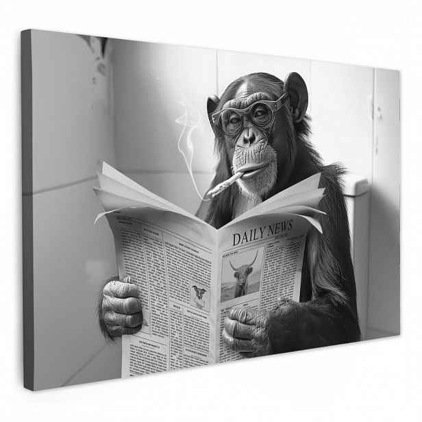 MuchoWow OBRAZ NA PLÁTNĚ Opice - WC - Noviny - Černobílé - Humor 60x40 cm