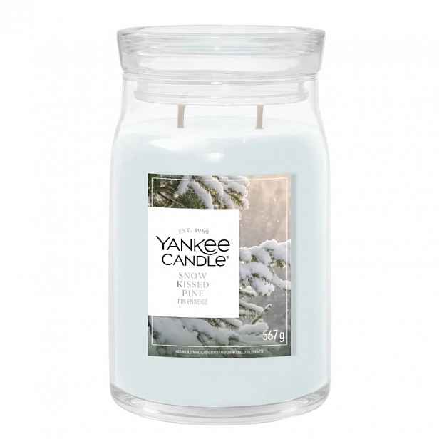 Yankee Candle Snow Kissed Pine velká vonná svíčka Signature 567 g