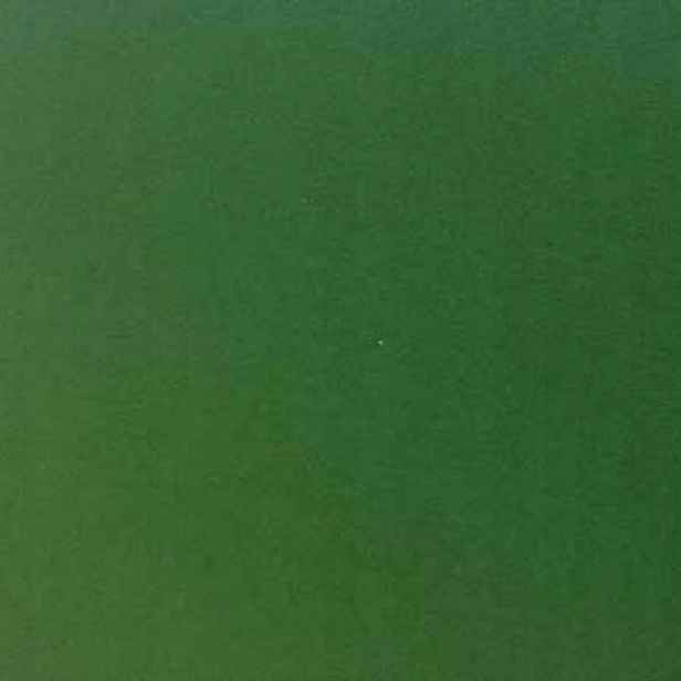 Velurová dýha zelená vločkovaná 45x500 cm G-10017