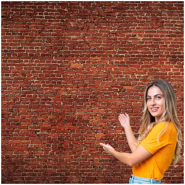 Fototapeta 3D Pozadí Textura Cihlová zeď 490x260 TLA29W