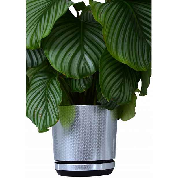 32 cm Květináč s podstavcem Stříbrný Art Deco krásný vzor lesk Velký Květináč