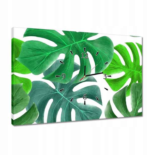 Hodiny 60x40 Listy Monstery Tropiky