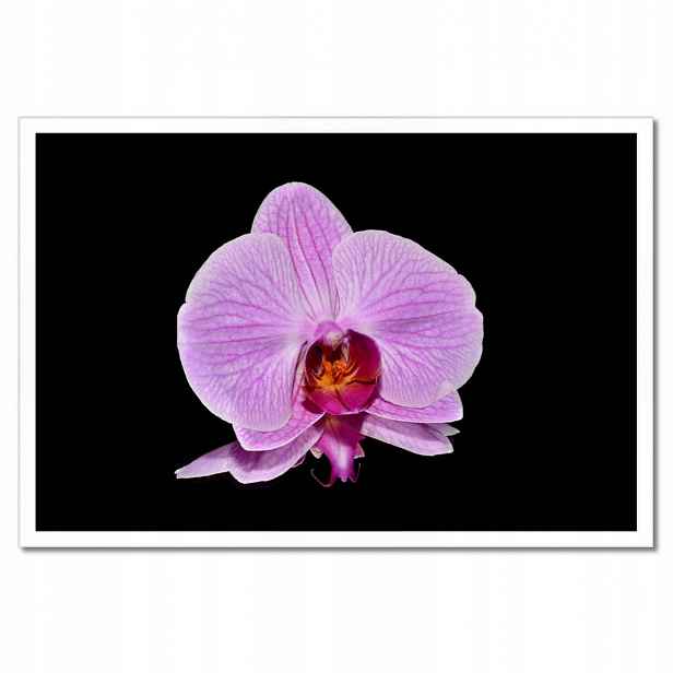 Plakáty v rámu 60x40 Fialový orchidej