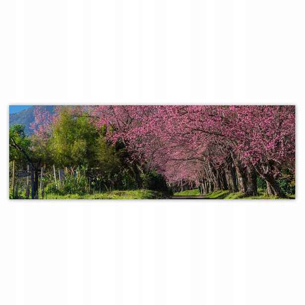 Plakáty 200x66 Kvetoucí višeň