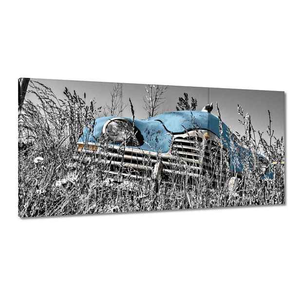 Obrazy 180x90 Světle Modrá Stařec Zabytek