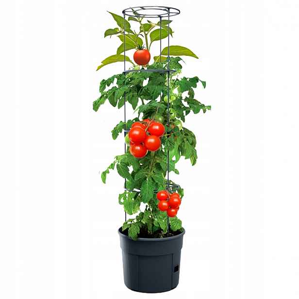 Květináč Na Rajčata XL, rajčata a okurky 115 cm