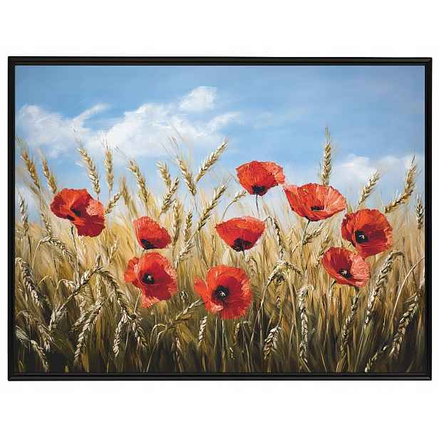 Plakát Rámeček Hliníkový Maky Polní Nebe 80x60