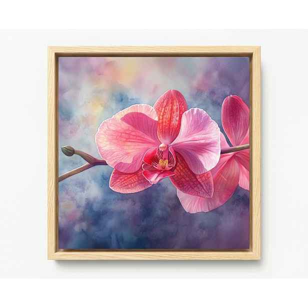 Obraz Rám Americká Krabička Grafika Orchidej Květ Růžový Orchidej 50x50