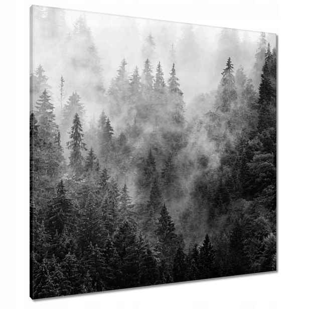 Obrazy 80x80 Krajina Šedá Hory Mlha