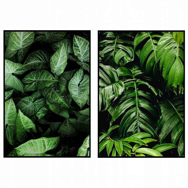 2 Botanické plakáty diptych zelené listy 50x70