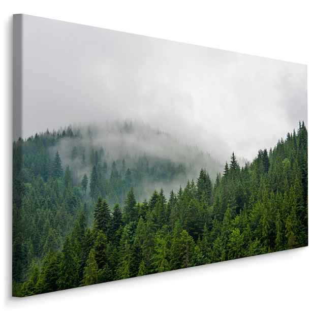 Plátno Mlha Nad Jehličnatým Lesem Varianta: 30x20