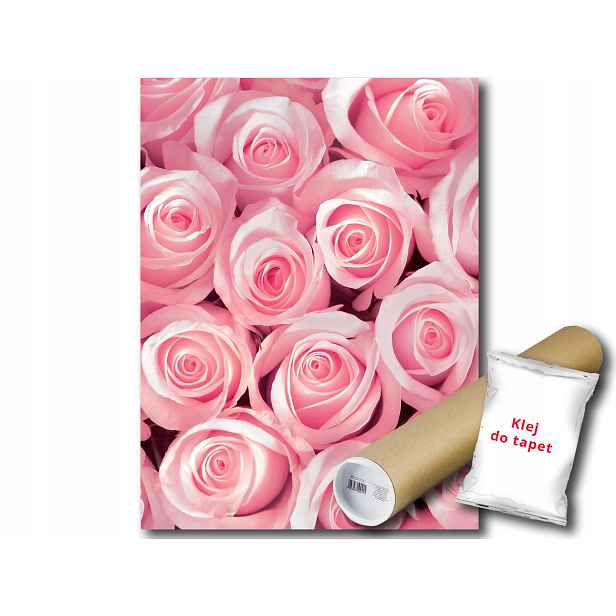 Fototapeta Růžové Růže 9B Panxl 206x275 F2168
