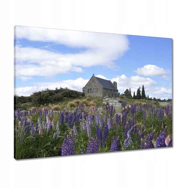 Obrazy 80x60 Fialové květiny Kopec