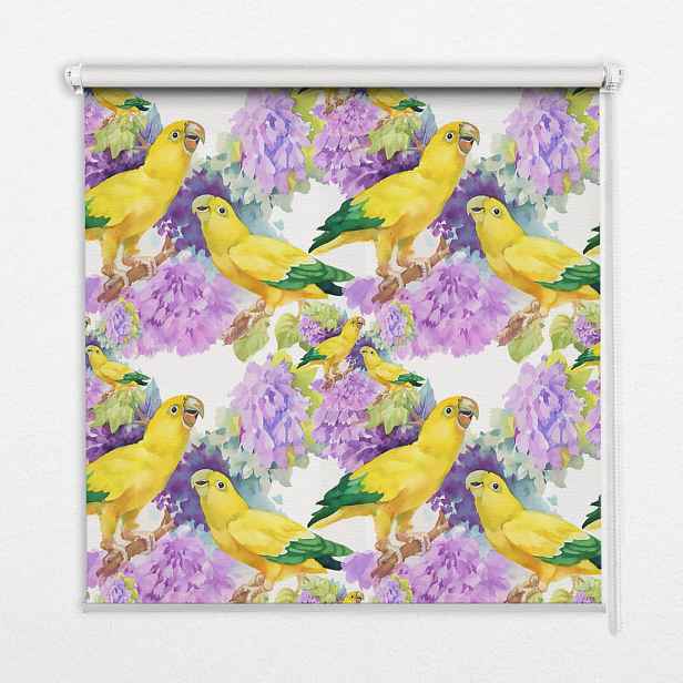 TULUP VNITŘNÍ roleta - okenní roleta - roleta - 100x100 cm - Žlutí papoušci