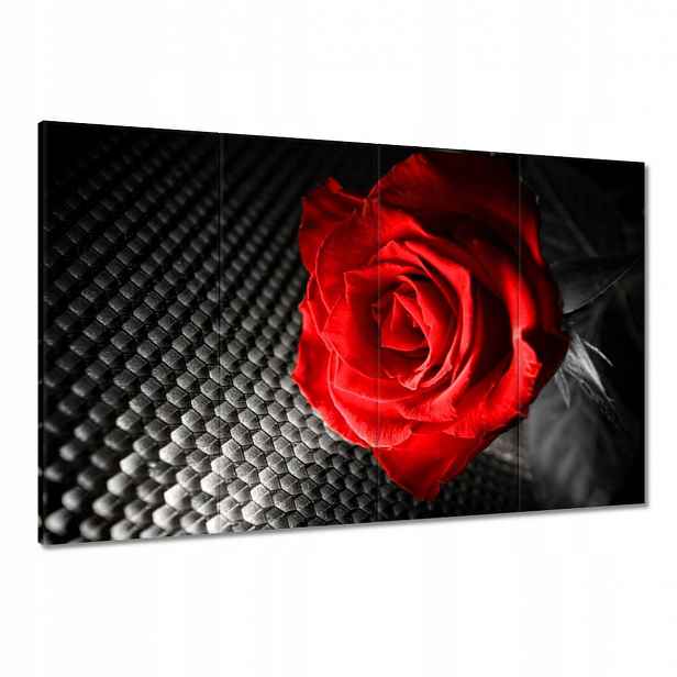Obrazy 120x80 Červená uprostřed šedi