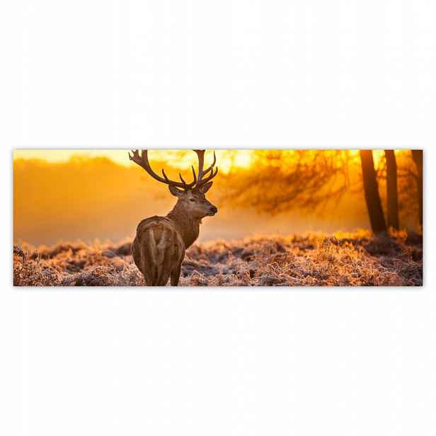 Fototapety flizelina 312x104 Jelen při západu