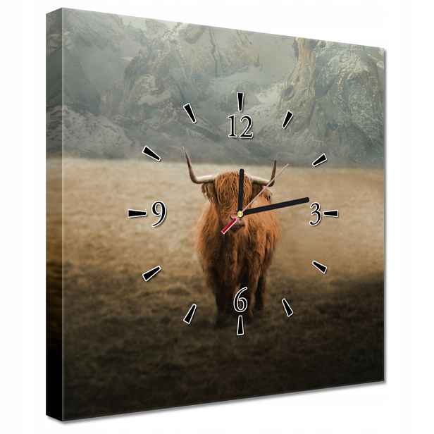 Nástěnné hodiny 40x40 Skotská kráva skotská