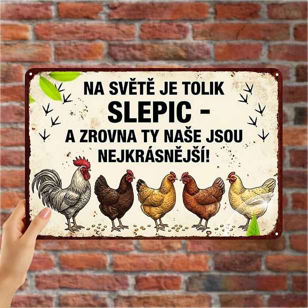 TEMU 2D plochá 1ks, kovová cedule "Kurací kovové umění - 'V světě je tolik kohoutů, ale tvých jsou nejkrásnější!' Rustikální dekorace " 8×12 palců