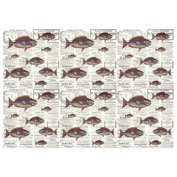 Fototapeta Ryby retro na německých novinách černobílá 400x280 lepidlo